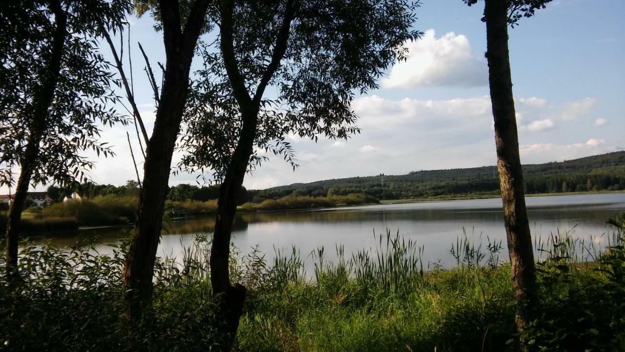 Ferienwohnung In Der Vulkaneifel Ulmen Exterior foto