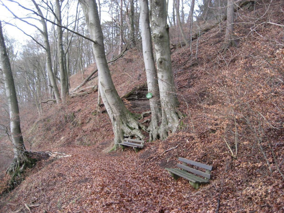 Ferienwohnung In Der Vulkaneifel Ulmen Exterior foto